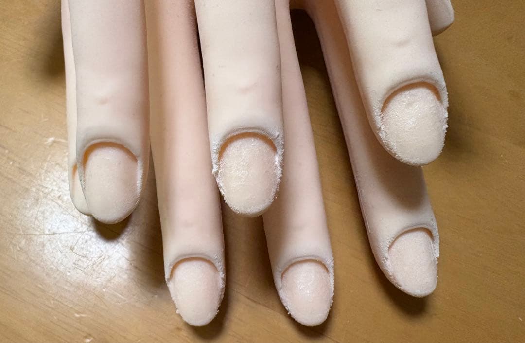 モデルハンド