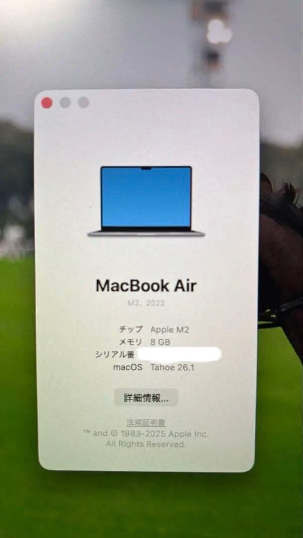 13.6インチMacBook Air 256GB SSD