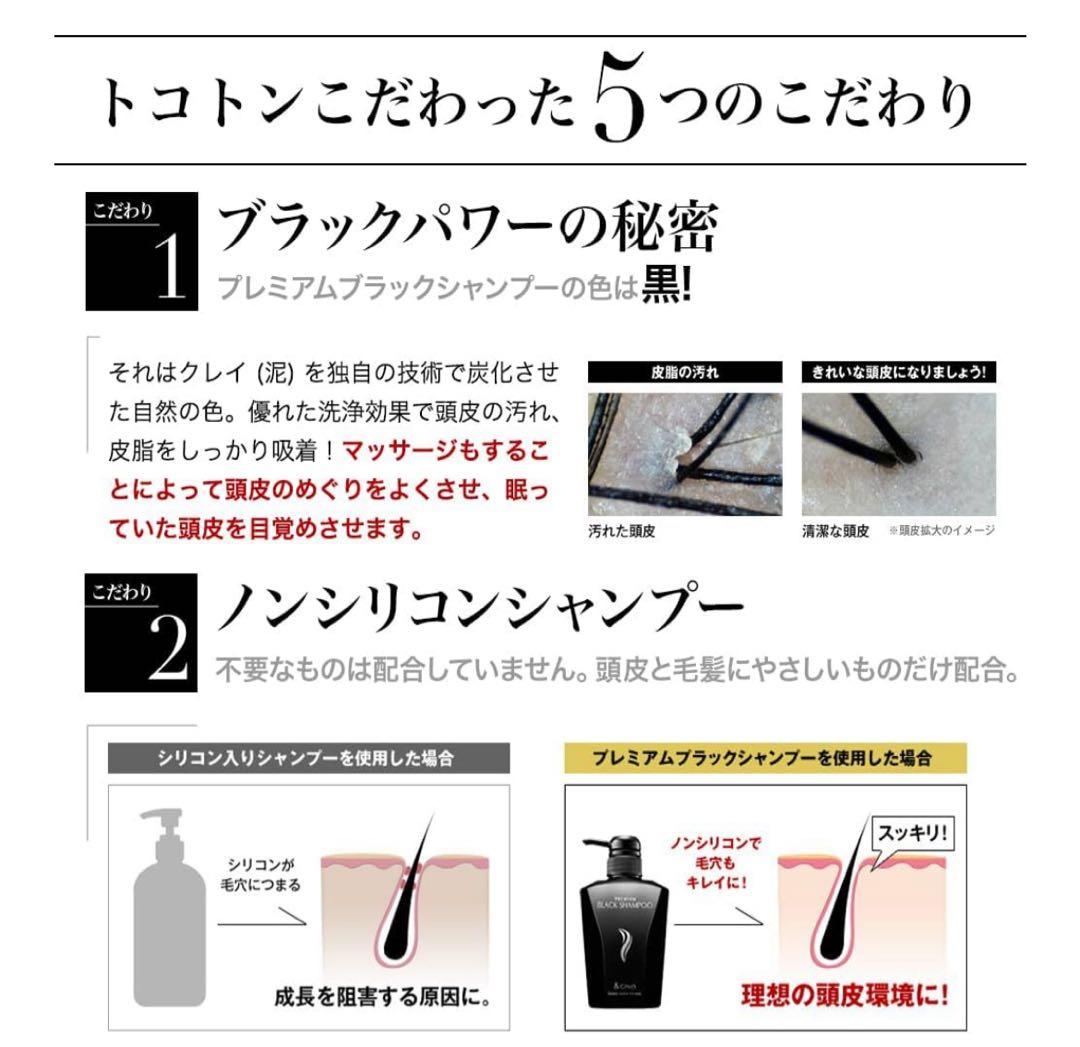 シャンプー &GINO PREMIUM BLACK SHAMPOO