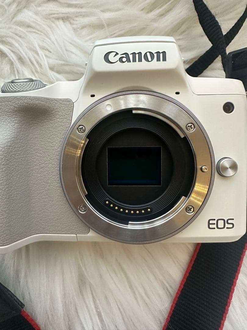 【美品】Canon EOS Kiss M2 白 ダブルレンズ＋22mm F2
