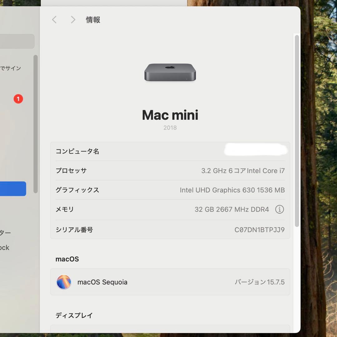 【美品】Mac mini 2018 Core i7/メモリ32GB/SSD1TB