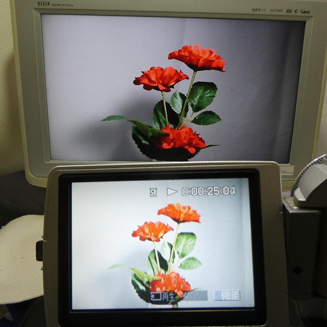 動作品 ソニーDCR-TRV50 MiniDV ビデオカメラDVDダビングに最適