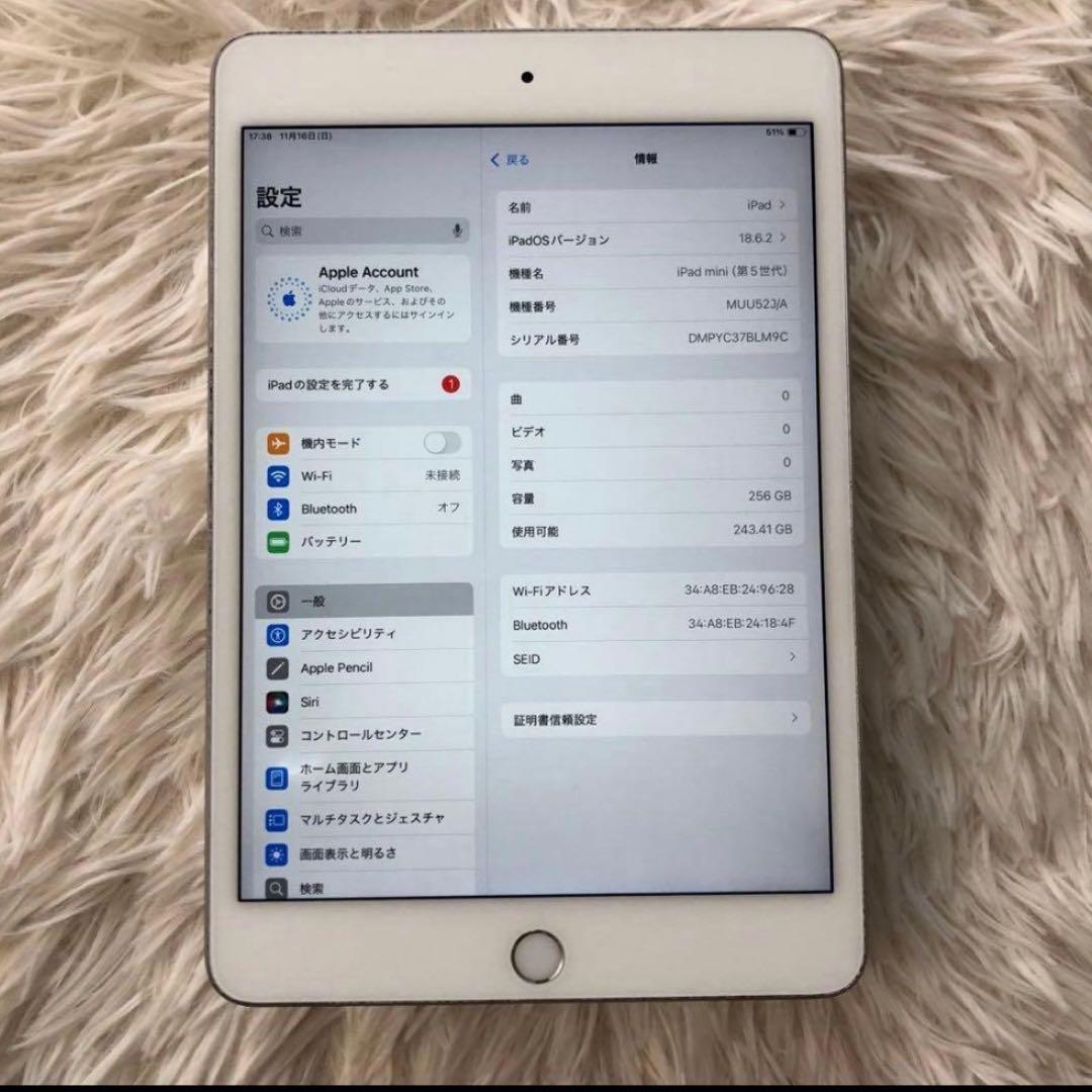 【年始割】iPad mini5 256GB 【すぐ発送】