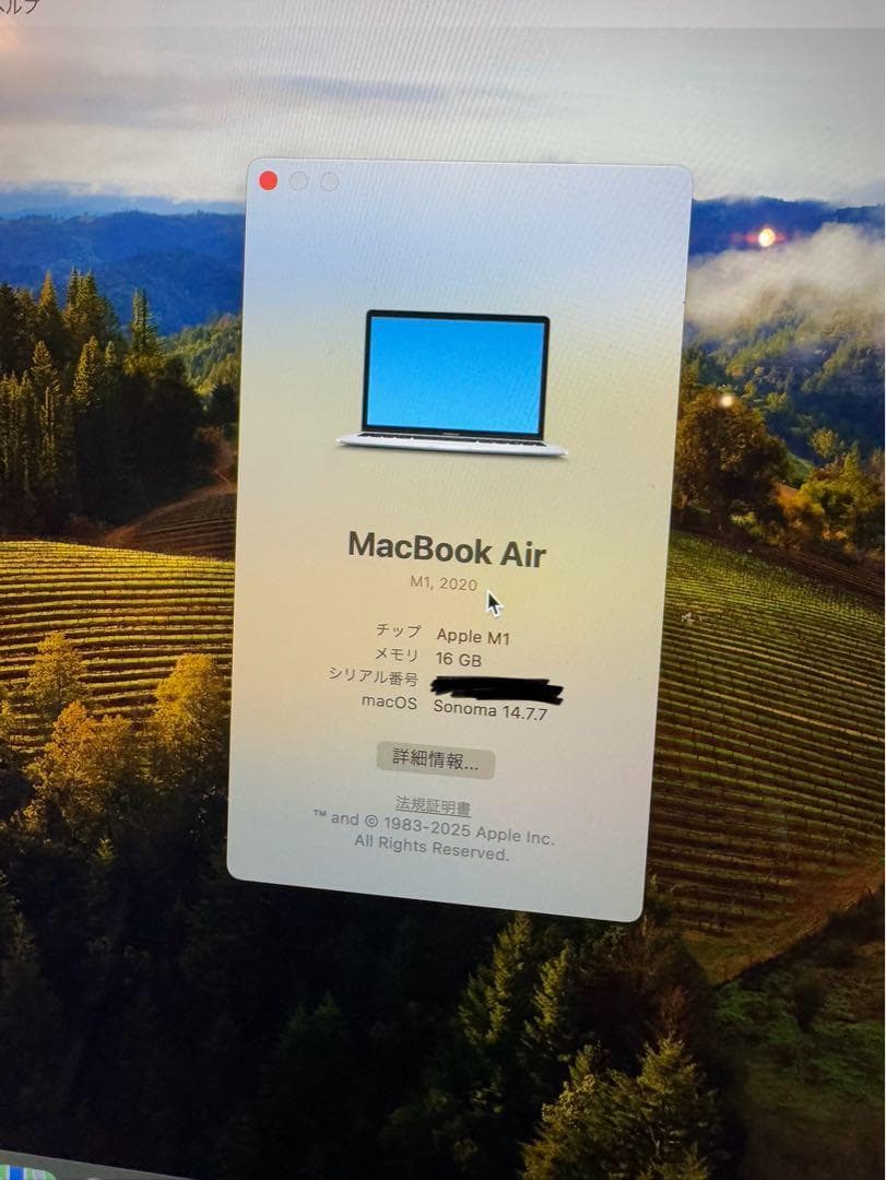 何も言わずに買ますApple MacBook Air (M1, 2020)