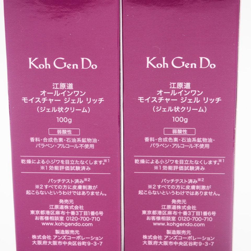江原道 オールインワン モイスチャー ジェル リッチ 100g 2本