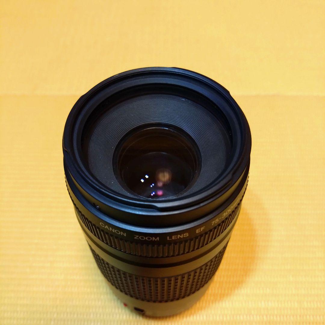 Canon EF 75-300mm 望遠ズームレンズ