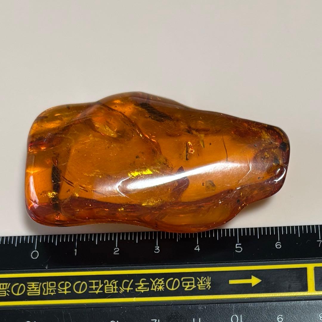 希少　大きいサイズ　虫入り琥珀　アンバー　天然樹脂　原石　22g