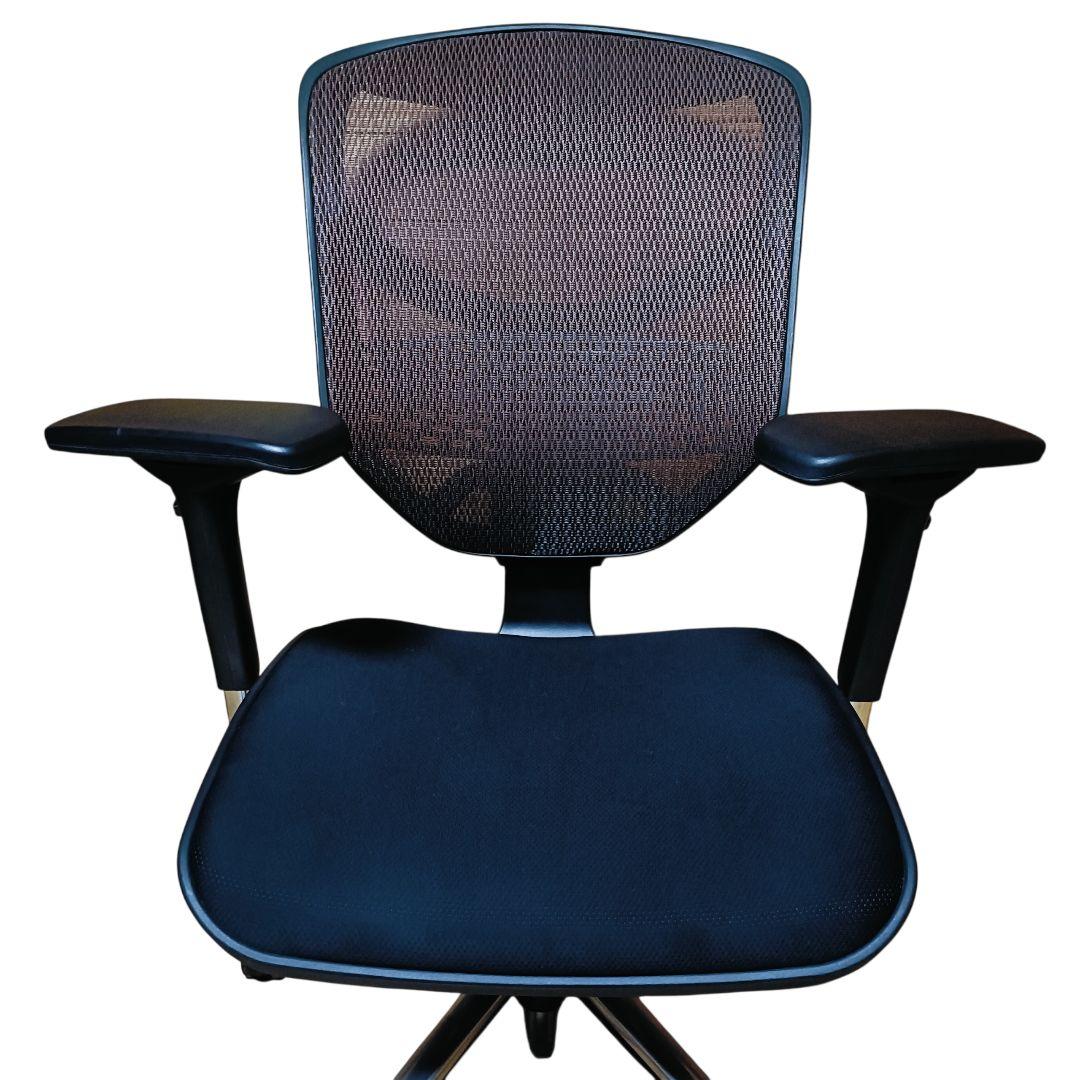 エルゴヒューマン　エンジョイ　オフィスチェア　在宅勤務　腰痛対策 メッシュ