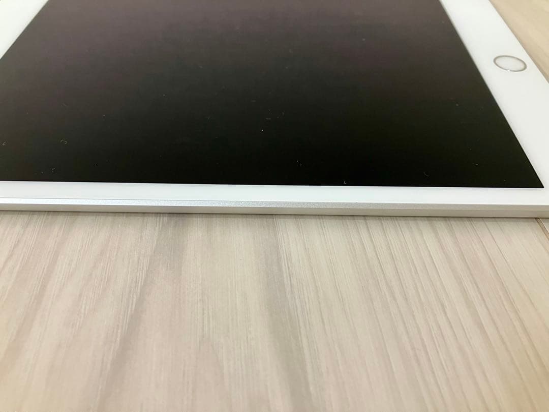 液晶不良ジャンク品 iPad mini 第5世代 Wi-Fi シルバー 64GB