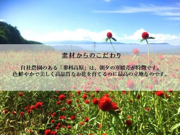 フラワー リース L