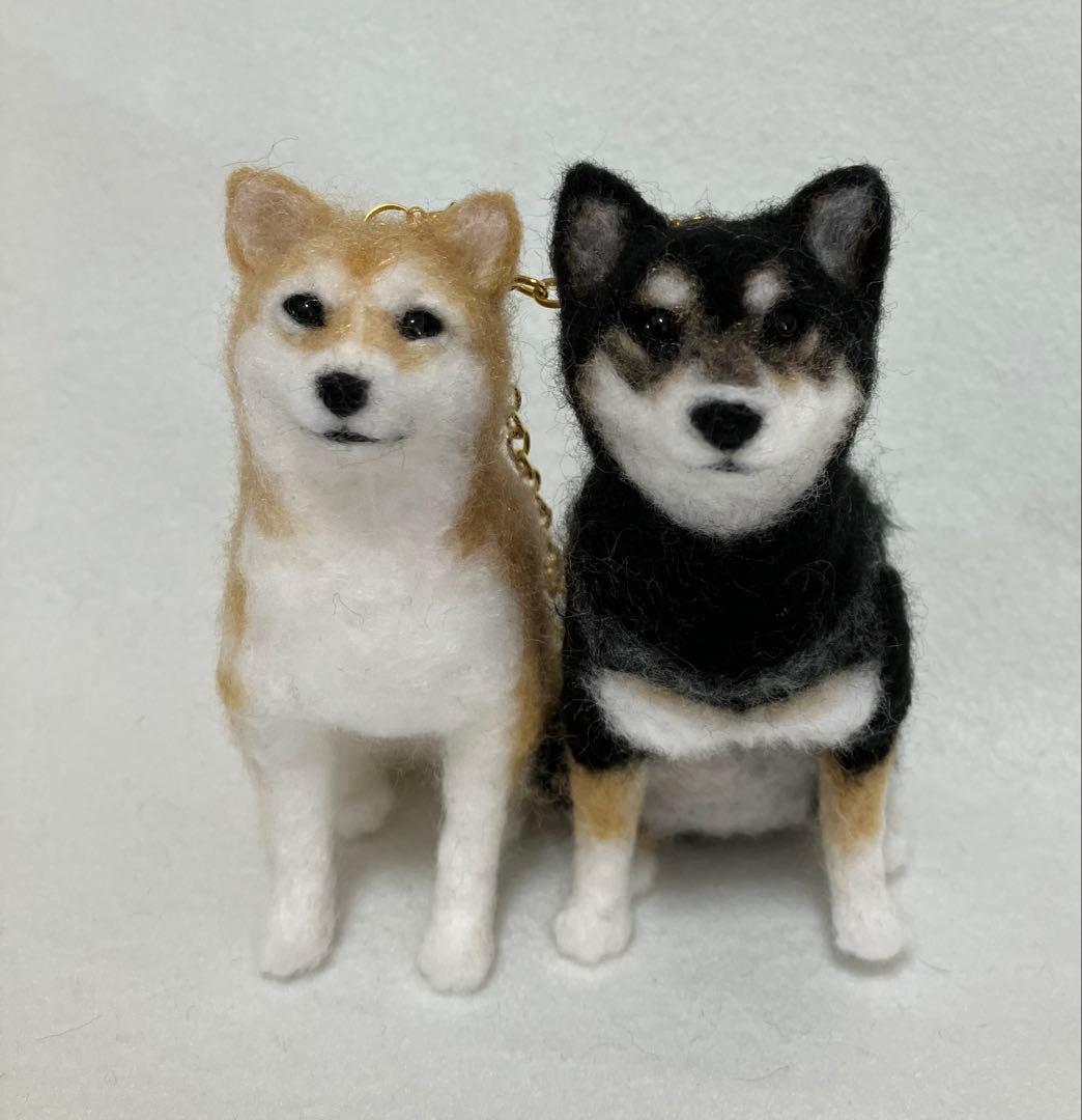 媛