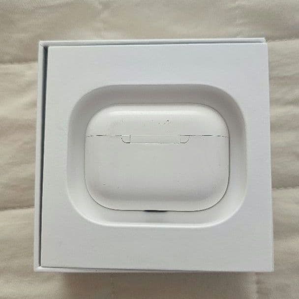 Apple AirPods Pro MWP22J/A 本体