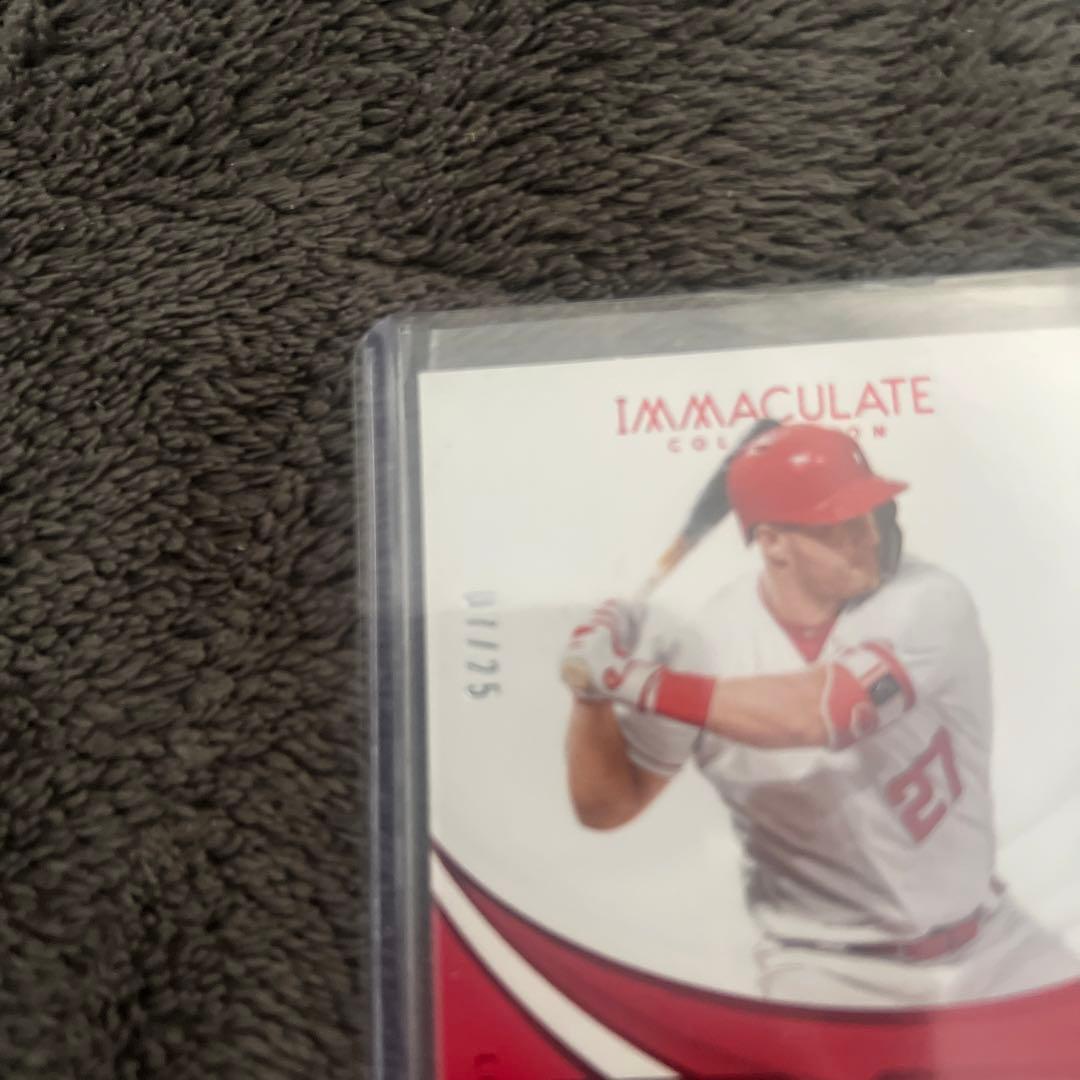 immaculate2019 トラウトジャージ&グローブカード/25
