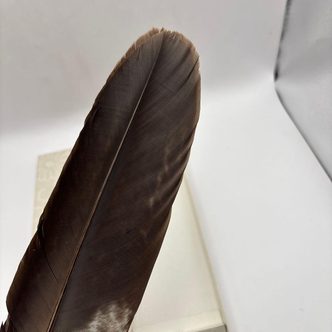 茶道具　羽箒　33cm