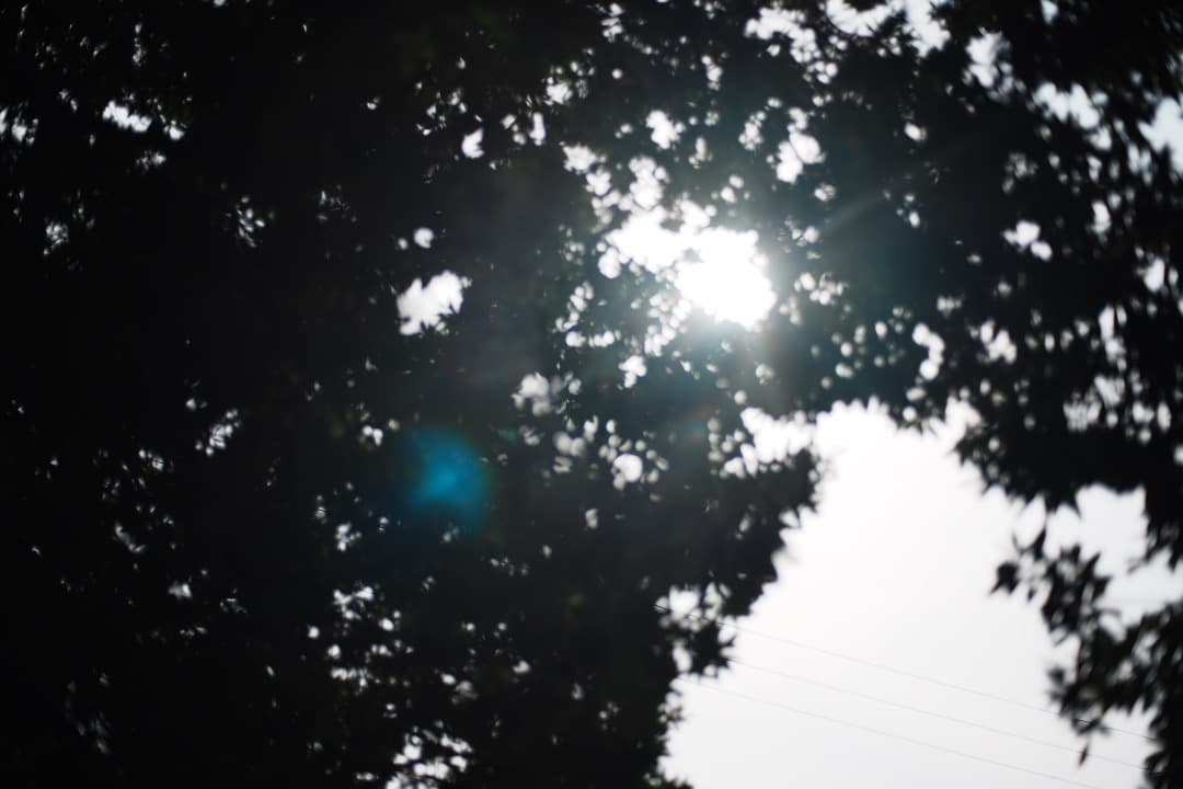 極美品 Carl Zeiss Planar 50mm F1.7 MMJ 855