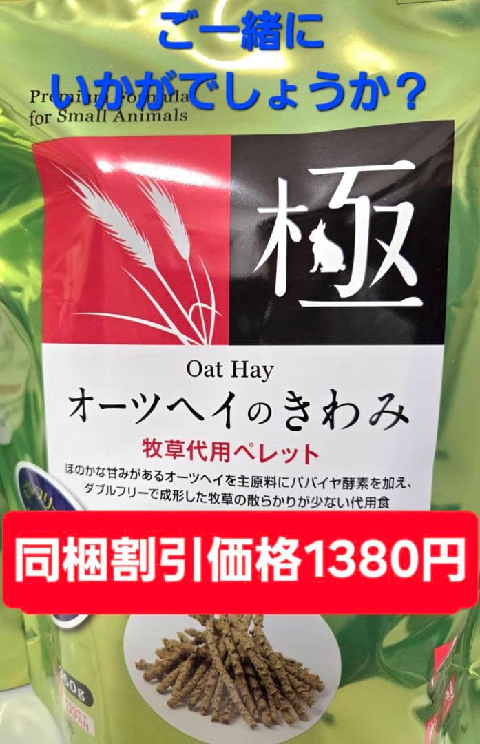 モルモットセレクションプロ600g×10袋