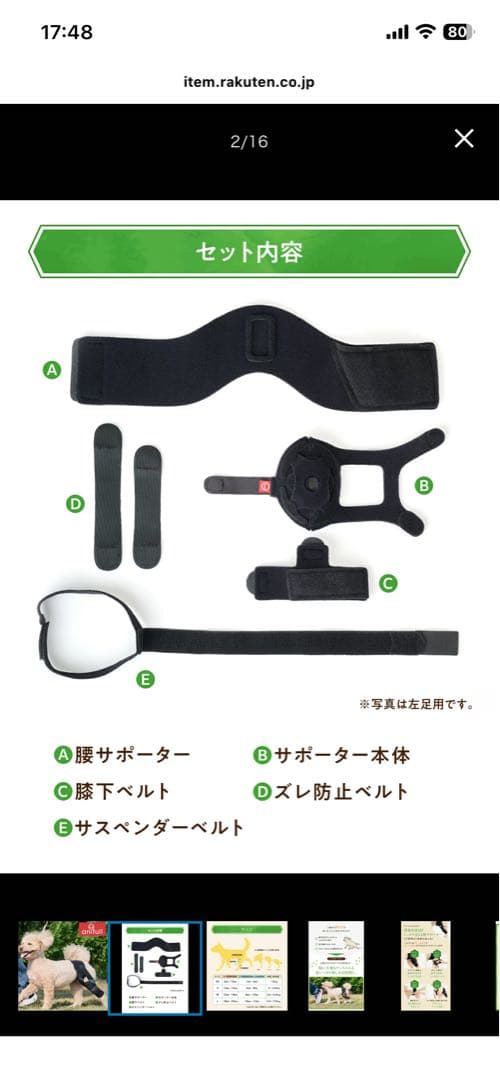 anifull 犬用の膝(パテラ用)サポーター　右足用　3.5〜5.5kg