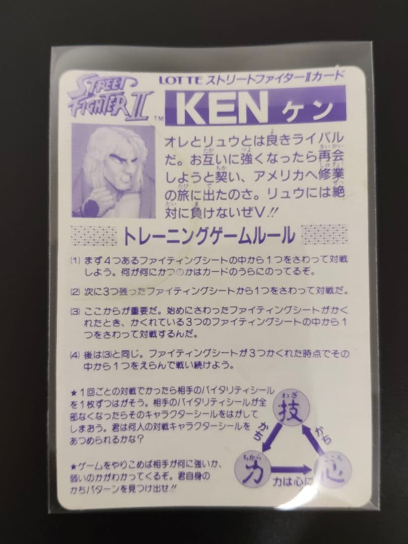 超希少 全12キャラ LOSE ver. ストリートファイター カード