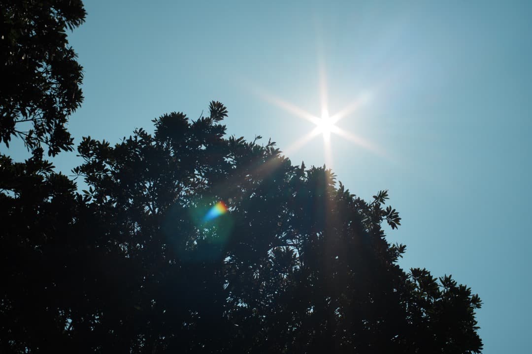 美品 Carl Zeiss Planar 50mm F1.7 MMJ 992