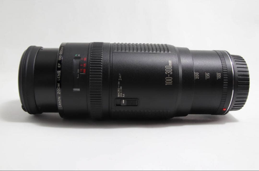 スポーツ/イベント/望遠レンズ/キヤノンCanon EF100-300㎜