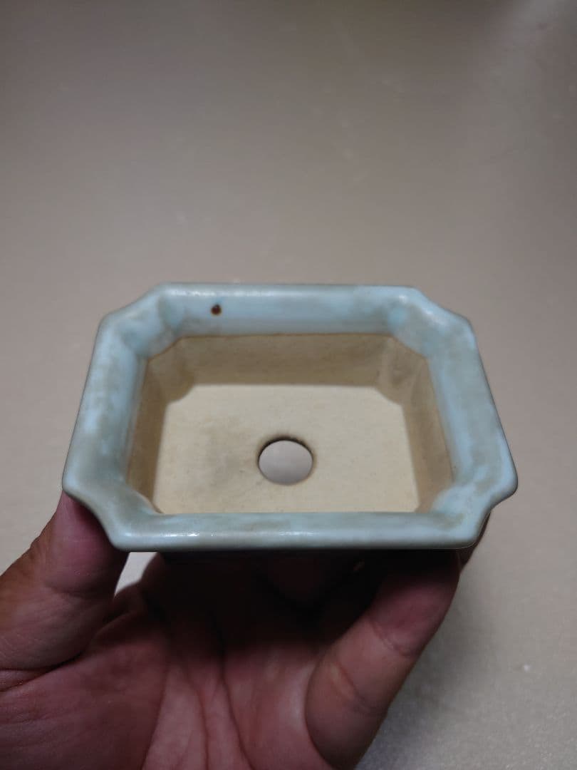 盆栽鉢　水山