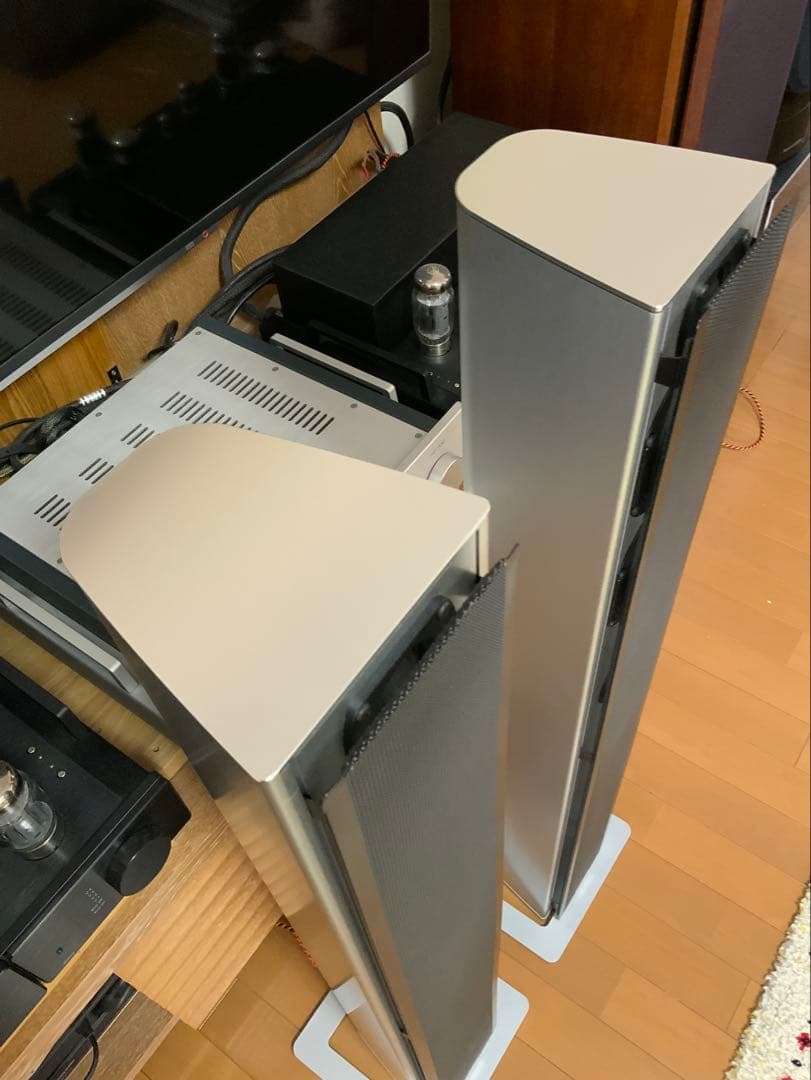 piega ts5 定価316800円