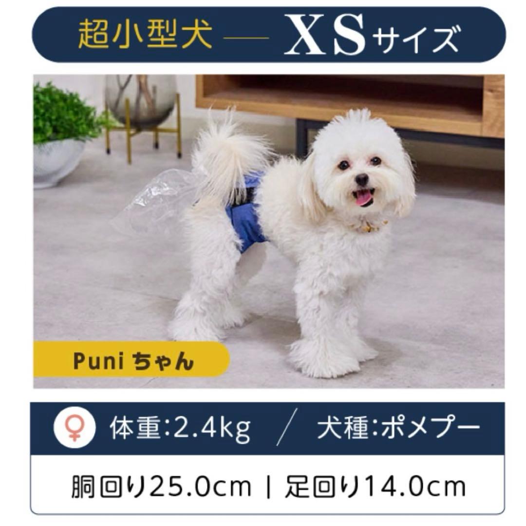 うんコロキャッチ　XS プーぱんつ
