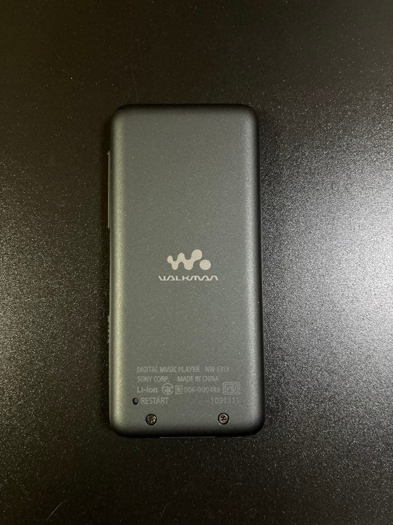 Sony NW-S313 デジタルオーディオプレーヤー　ブラック