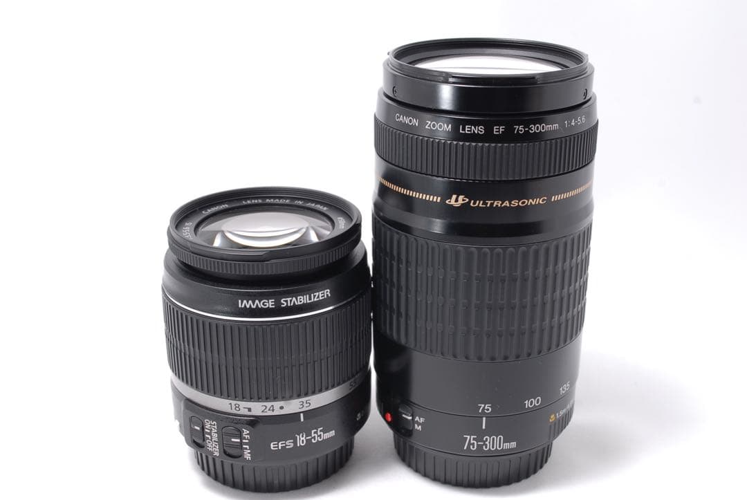 ✨卒業・入学式に✨自撮り＆スマホ転送OK！Canon EOS 60D Wレンズ