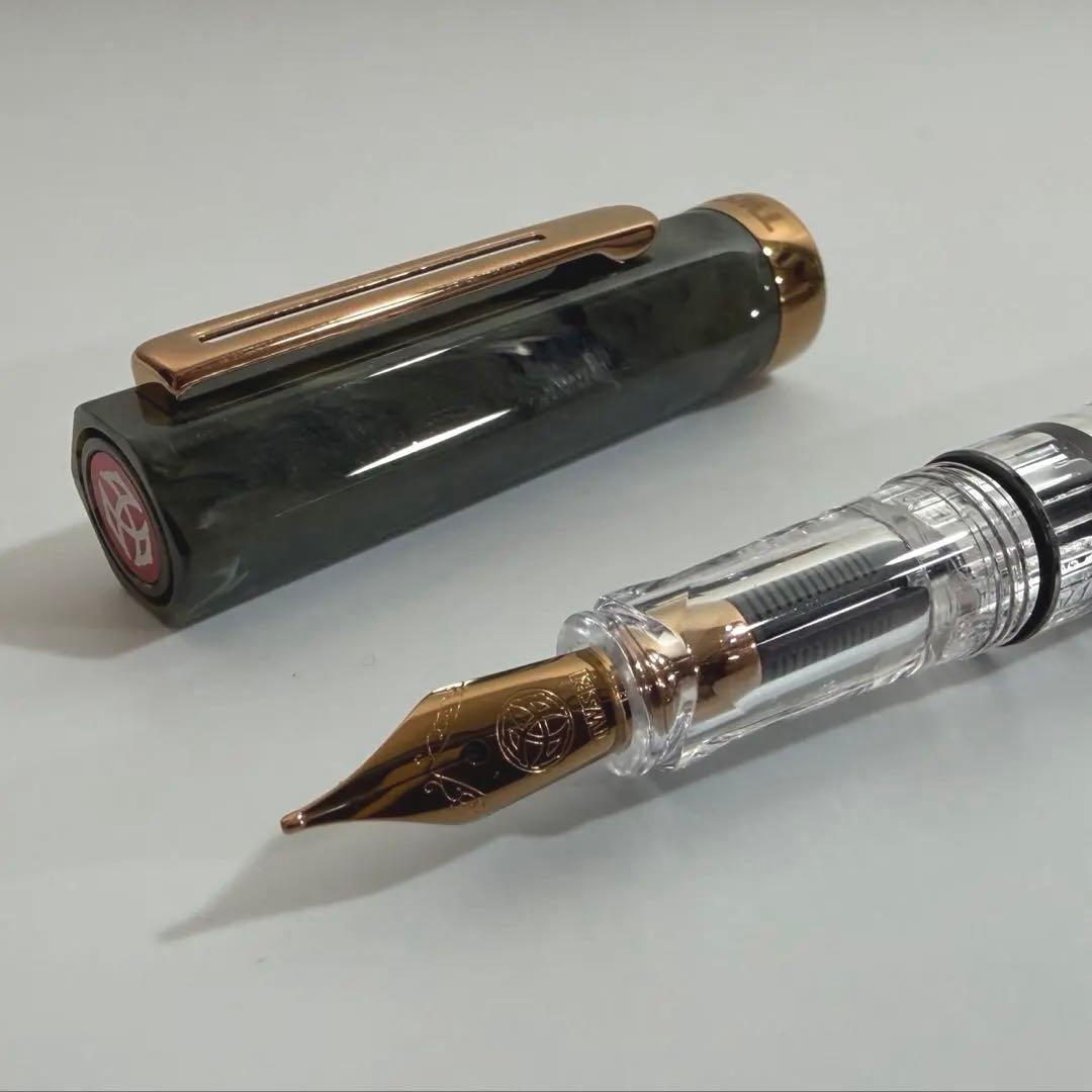 [付属品完備・美品] TWSBI ECO Serpentine with/B