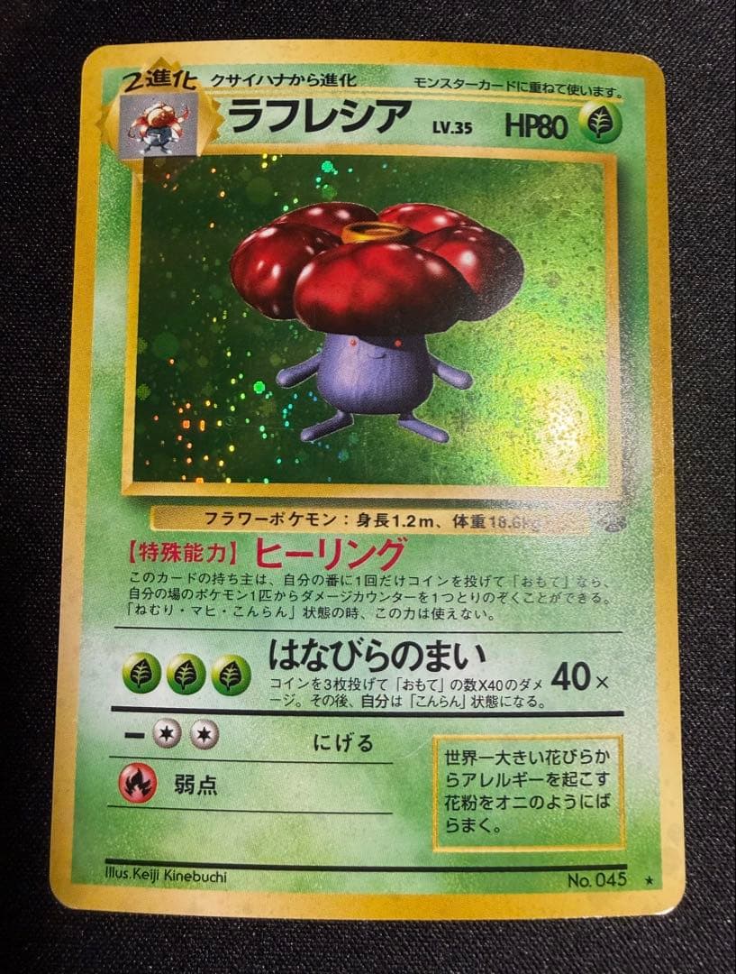 ポケモンカード 旧裏ホロ セット売り