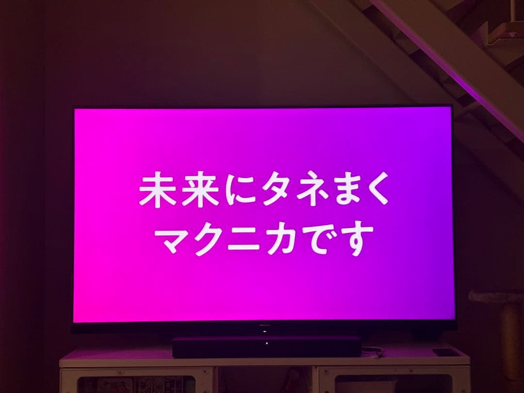 ハイセンス Hisense 65U8F ②