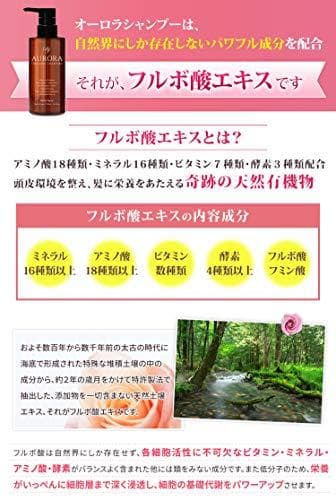 ミノキシジル 誘導体 オーロラ シャンプー 1本 フルボ酸 キャピシル スカルプ
