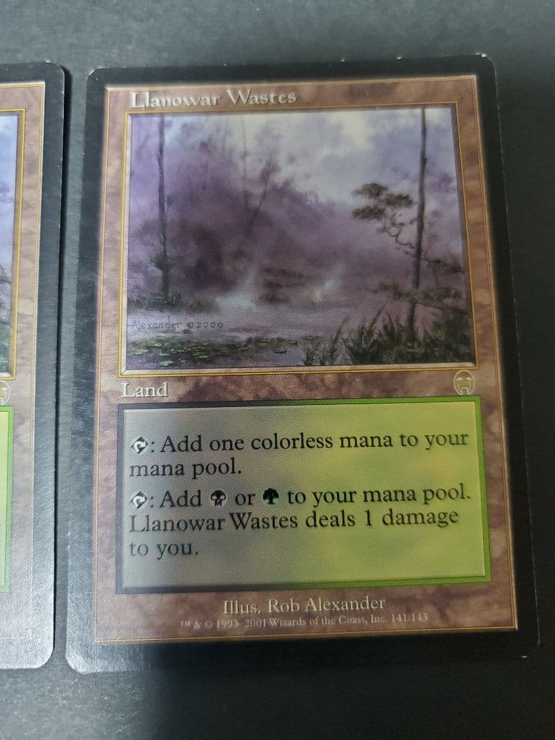 MTG APC ラノワールの荒原/Llanowar Wastes　2枚セット