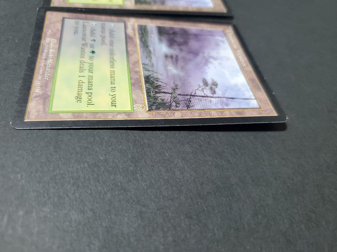 MTG APC ラノワールの荒原/Llanowar Wastes　2枚セット