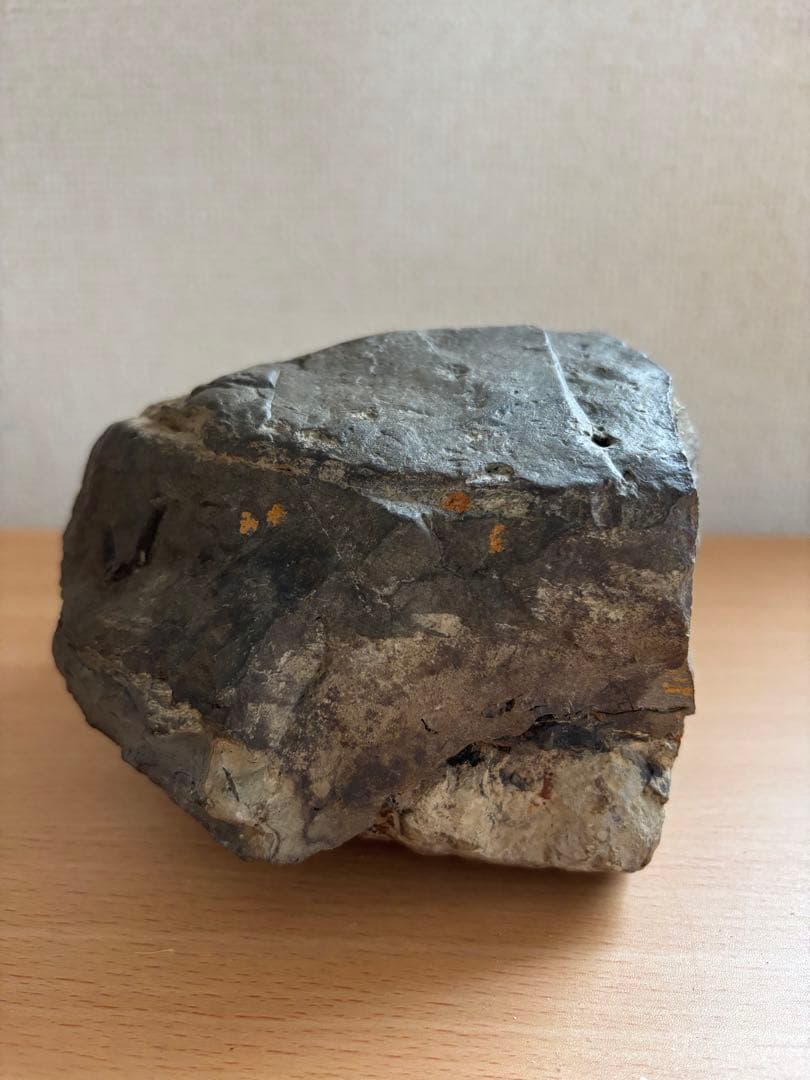 北海道産　アンモナイト　2500g置き物