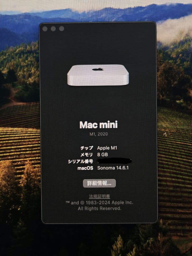 Apple Mac mini m1 SSD 256GB RAM 8GB 美品