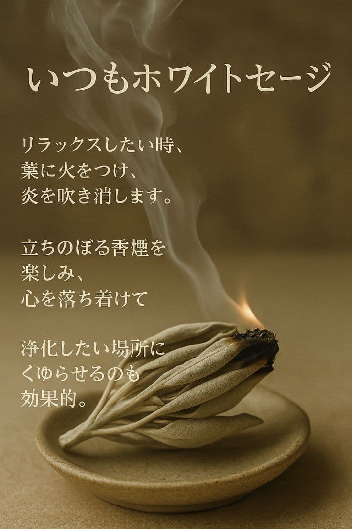 激安価格☆無農薬アウトレットホワイトセージリーフ1KGお香浄化業務用価額お得