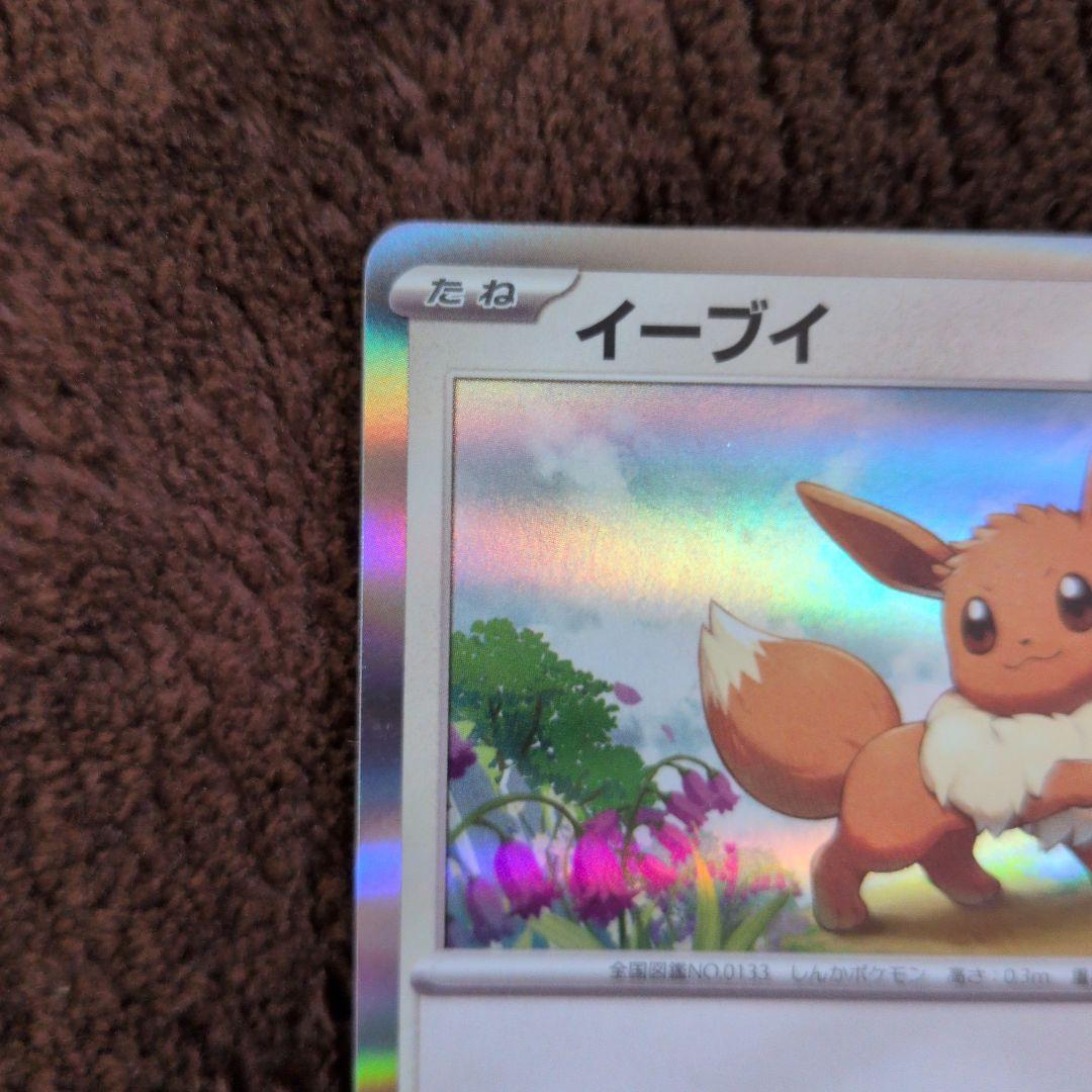 イーブイ：ポケモンカードゲーム教室 PROMO SV-Pプロモカード 033/…