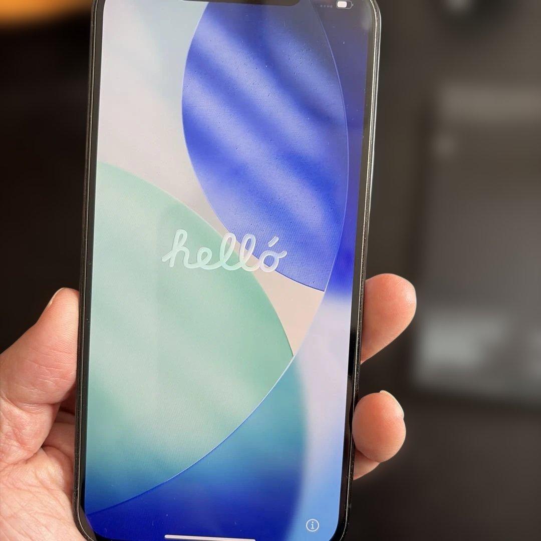 iPhone 12 Pro Max 128GB ケース付き　SIMフリー
