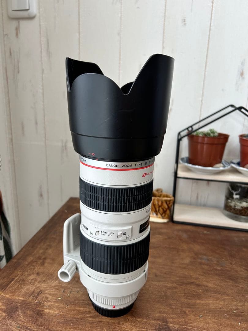 超美品　Canon EF 70-200mm f