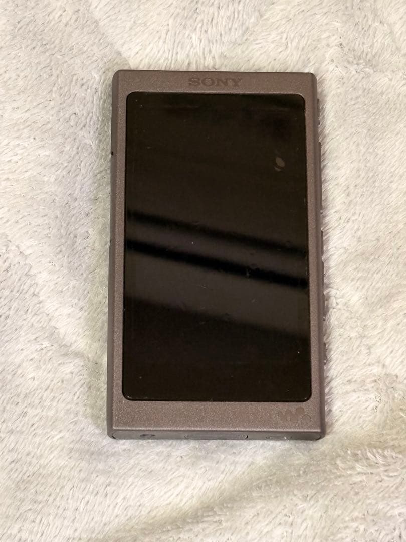 『早い者勝ち』SONY WALKMAN NWーA45ケース付き(非売品)