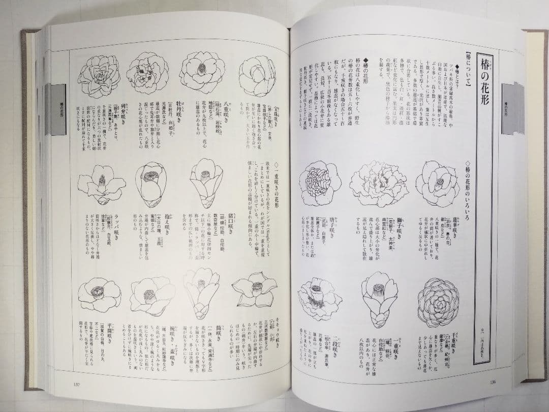 新版 茶道大辞典　全２巻　淡交社