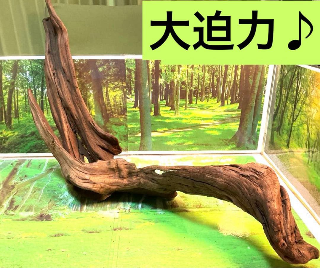 さかな様 リクエスト 2点 まとめ商品