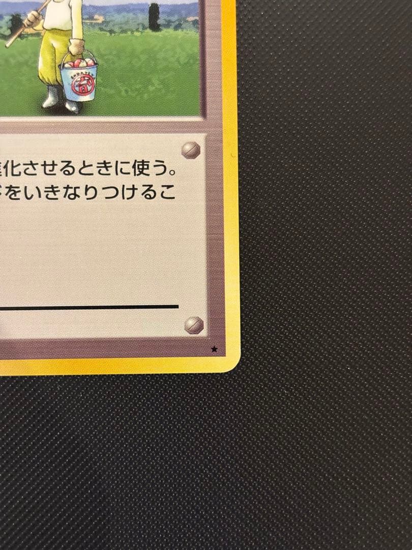 旧裏　極上美品　ポケモン育て屋さん 第1弾　初版　マークあり　センタリング◎