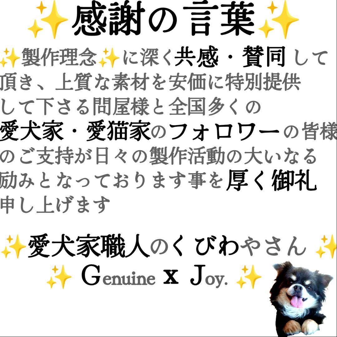 【ミシェル  】✨名入れ✨本革✨小型犬猫用首輪＆リードセット
