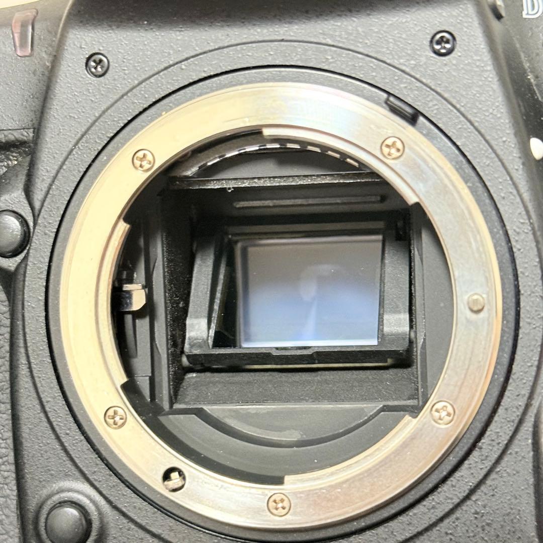 美品　Nikon D500 16-80 VR DX レンズキット