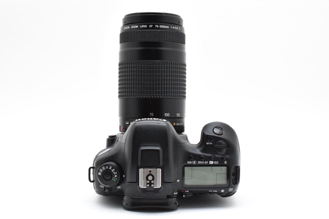 Canon EOS 7D MarkⅡ /EF 75-300mm F4-5.6II