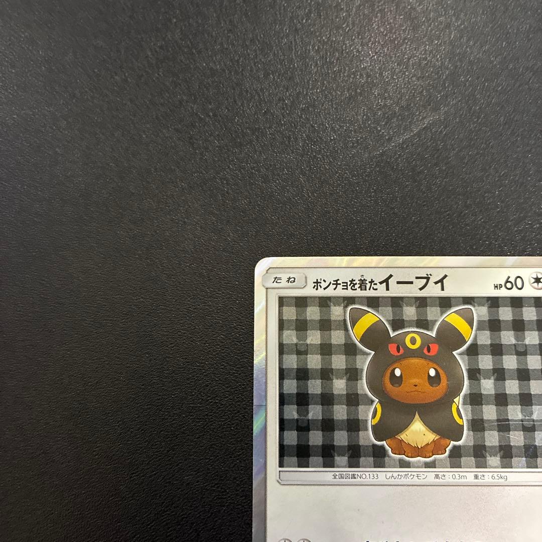 ポンチョを着たイーブイ 141/SM-P