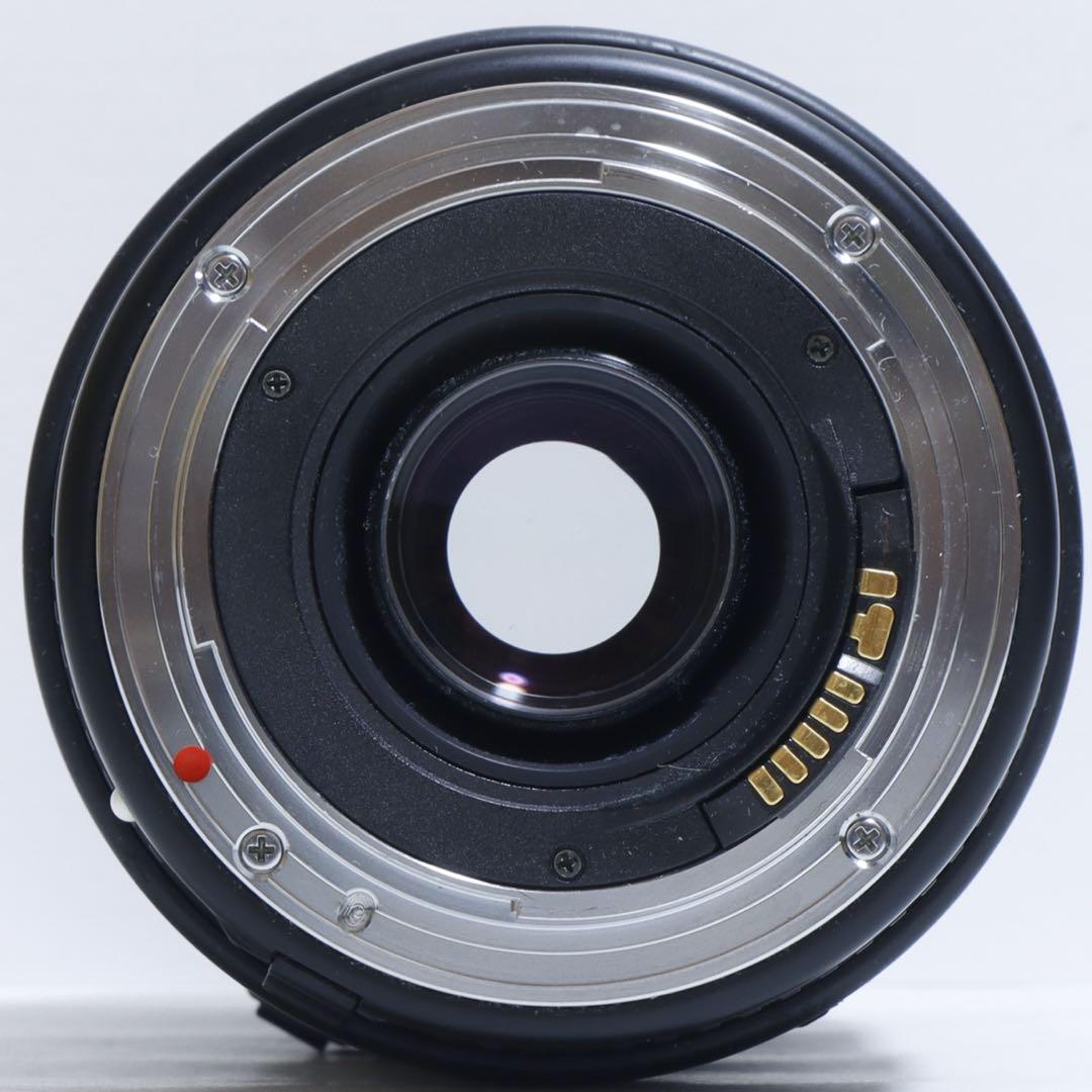 ◇大迫力300mm超望遠◇ Sigma 70-300 APO for Canon